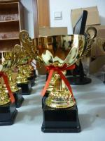 供應(yīng)上海金屬獎(jiǎng)杯制作、周年活動(dòng)紀(jì)念品、評(píng)選大會(huì)獎(jiǎng)品、獎(jiǎng)牌_禮品、工藝品、飾品_世界工廠網(wǎng)中國(guó)產(chǎn)品信息庫(kù)