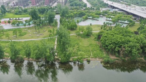 潁河橋下福利特輯 | 一河一園美景如畫(huà)，三重狂歡豪禮抱回家